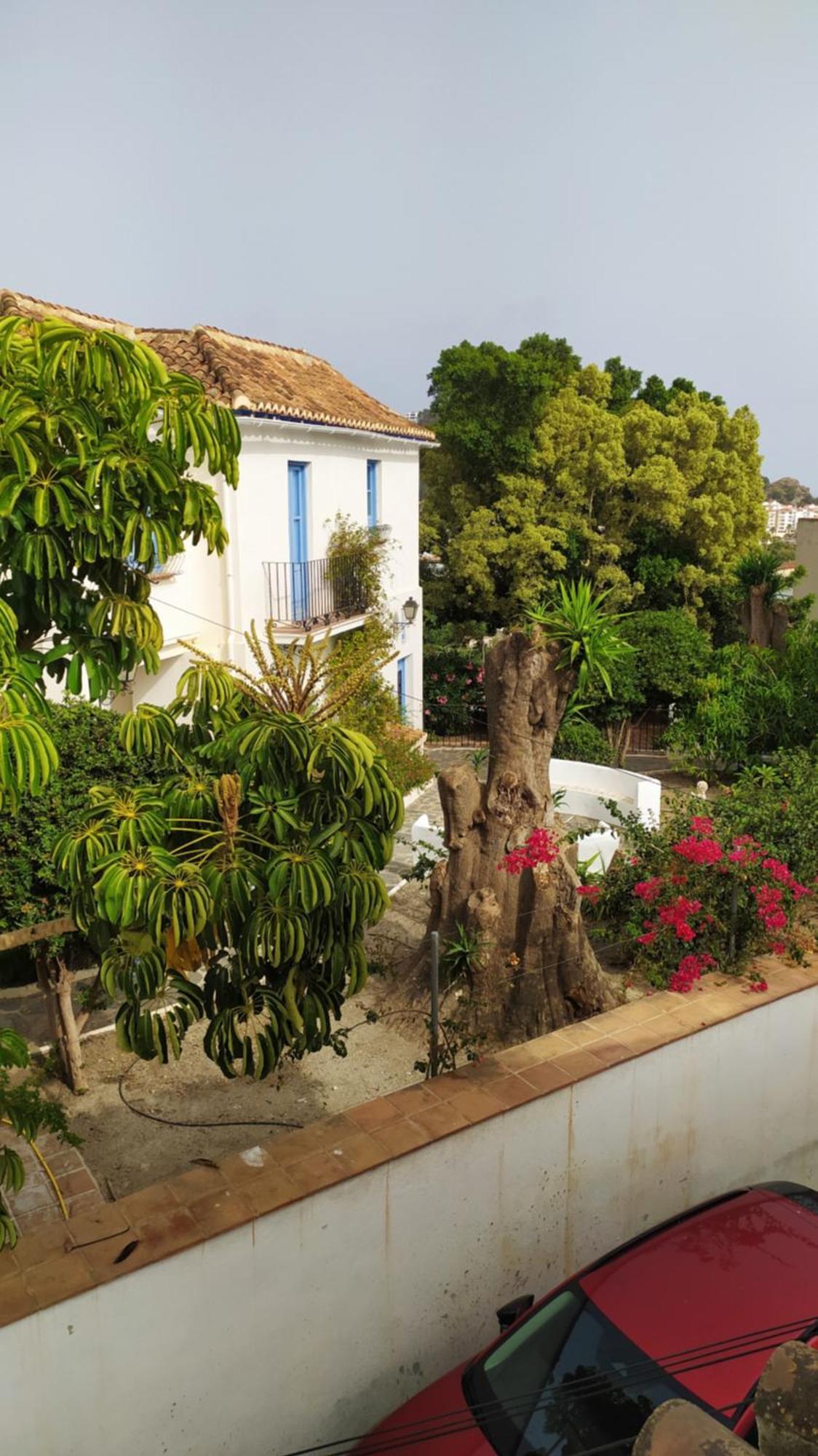 Sabor Andaluz Apartamento Almuñécar Exterior foto